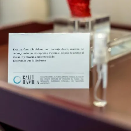 Апартаменты Gran Vivienda En La Rambla!